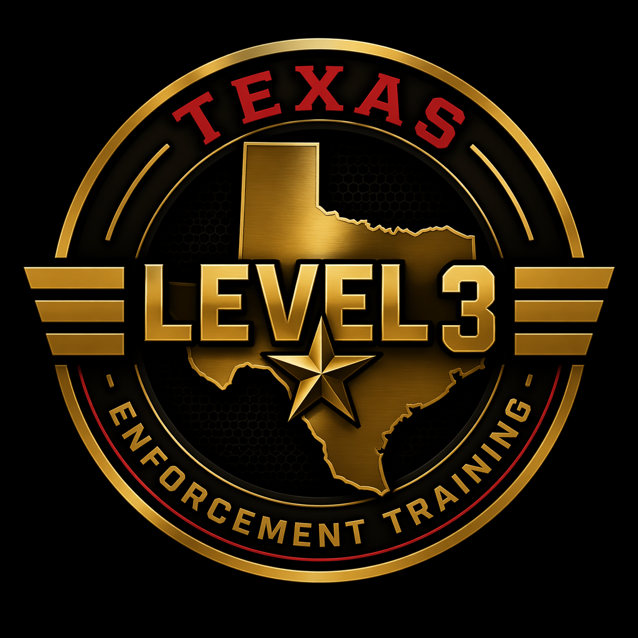 Texas Level 3 Enforcement Training